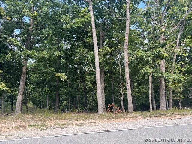 $6,000 | 630 Eagle Drive, Four Seasons, MO 65049