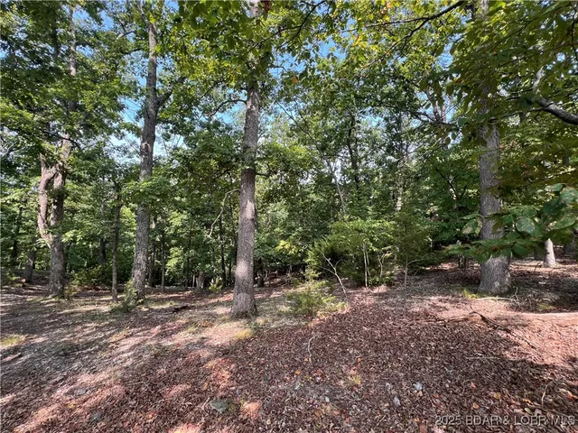 $6,000 | 630 Eagle Drive, Four Seasons, MO 65049