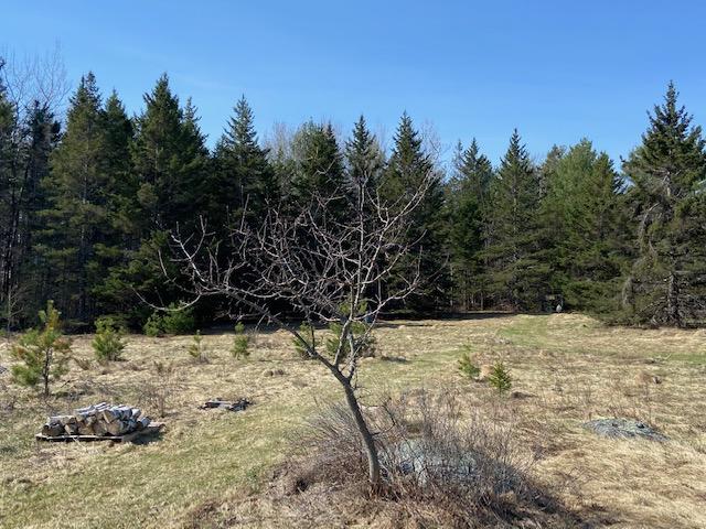 95 N Road Harmony, ME 04942 - Photo 9 of 27 IMG_3109
