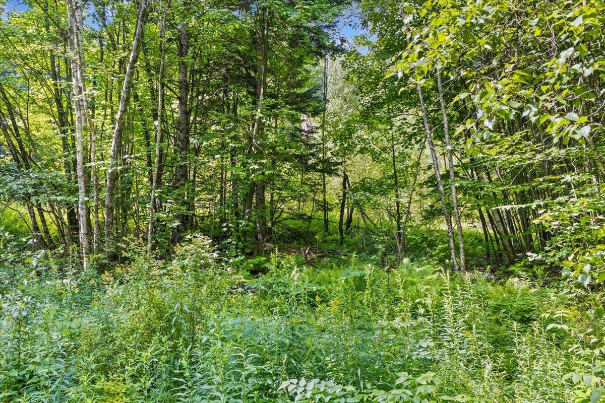 0 Mountain View Road Warren, VT 05674 - Photo 12 of 50 Gallery Image 12