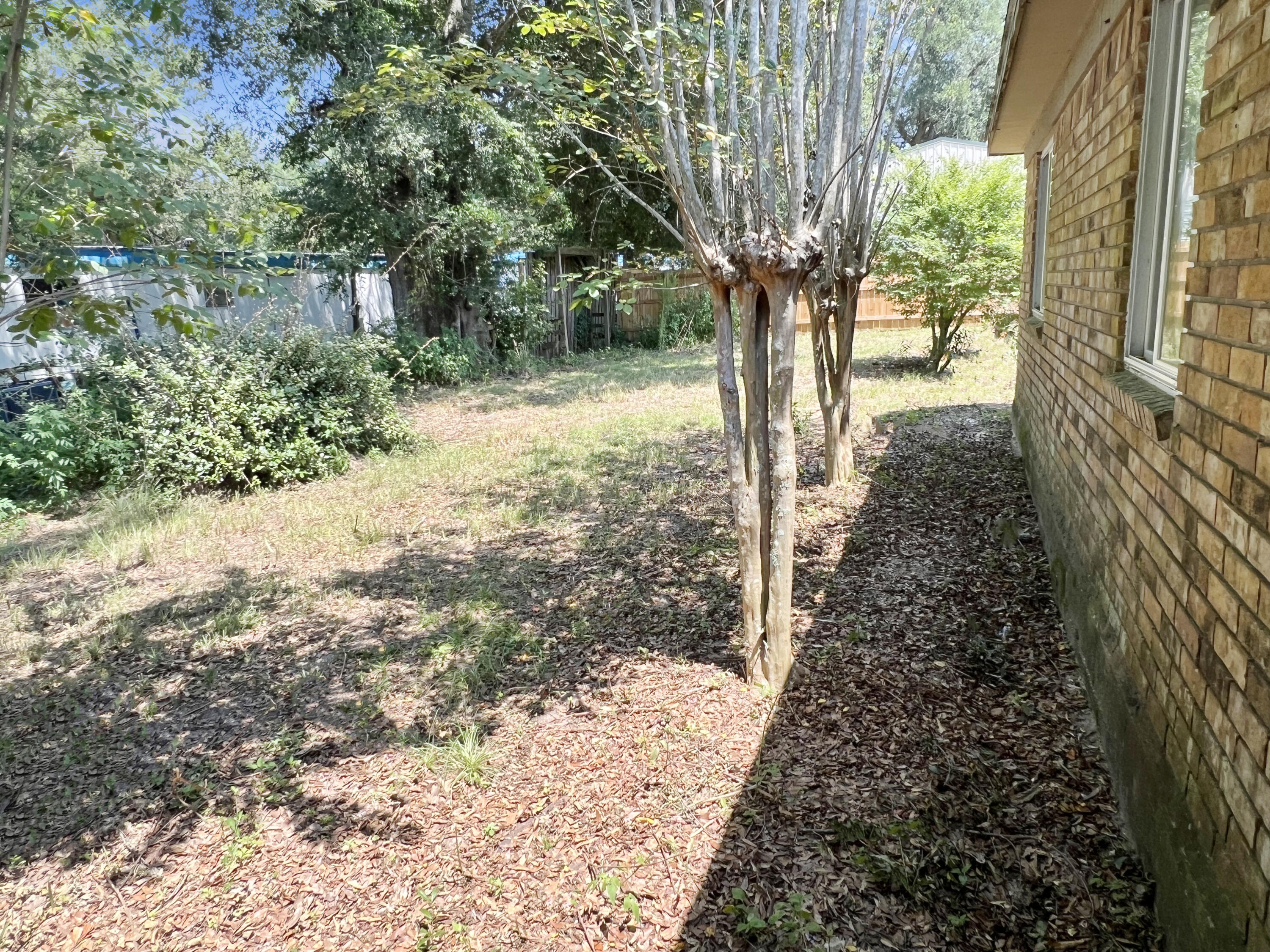 4104 Cooley Drive Pace, FL 32571 - Photo 13 of 21 a view of a yard with plants and trees