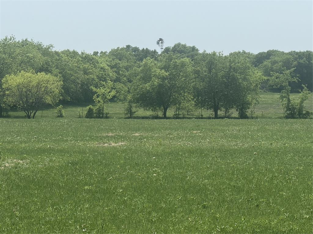 340 Private Road 2202 Decatur, TX 76234 - Photo 4 of 6 a view of a field with trees in background