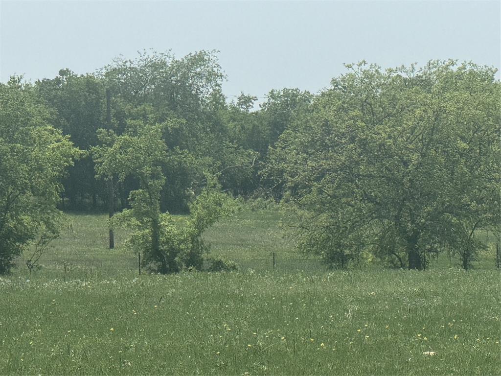 340 Private Road 2202 Decatur, TX 76234 - Photo 5 of 6 a view of a lush green forest