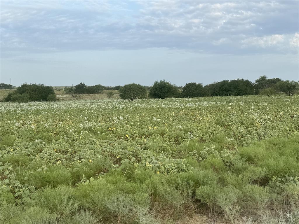 340 Private Road 2202 Decatur, TX 76234 - Photo 6 of 6 a view of lake and mountain