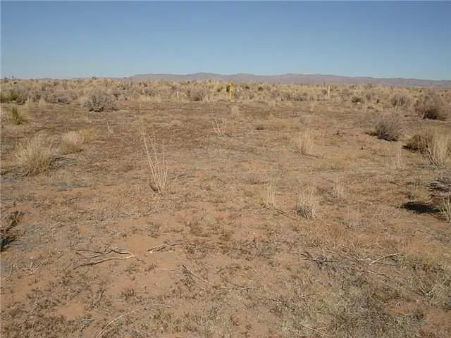 a view of a dry yard covered with snow