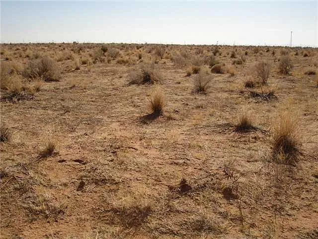 a view of ocean and green field