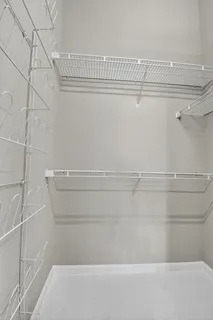 a view of a park with palm trees