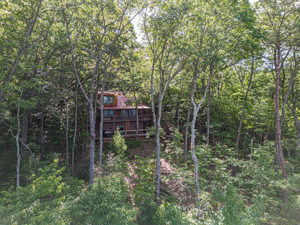 160 Arrowhead Pass Blue Ridge, GA 30513 - Photo 1 of 38 Main View