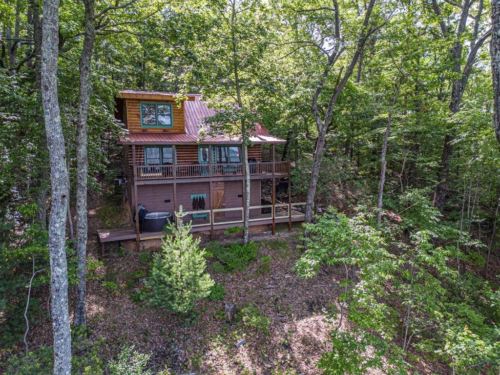 160 Arrowhead Pass Blue Ridge, GA 30513 - Photo 2 of 38