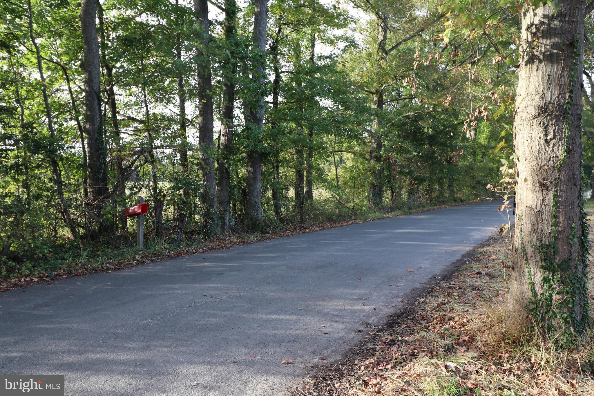 1641 Colbert Road Annapolis, MD 21409 - Photo 31 of 31 STREET VIEW