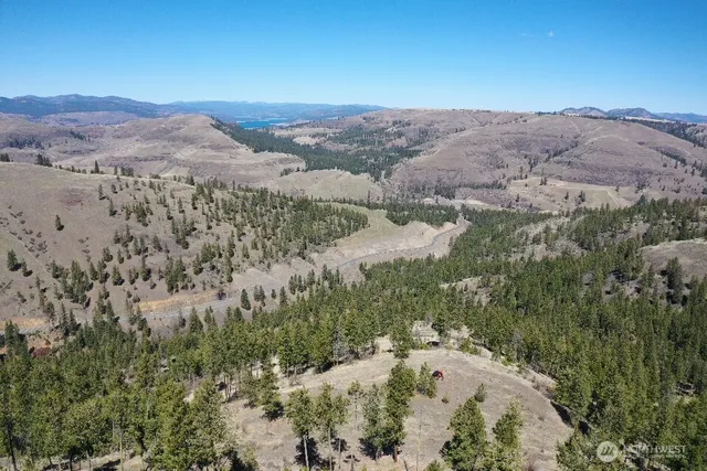 a view of a field with a mountain in the background