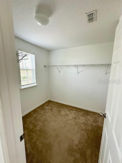8642 Powder Ridge Trail Windermere, FL 34786 - Photo 20 of 30
