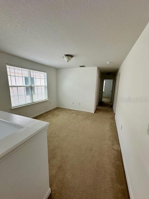 8642 Powder Ridge Trail Windermere, FL 34786 - Photo 21 of 30