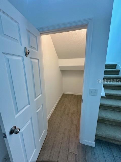 8642 Powder Ridge Trail Windermere, FL 34786 - Photo 5 of 30