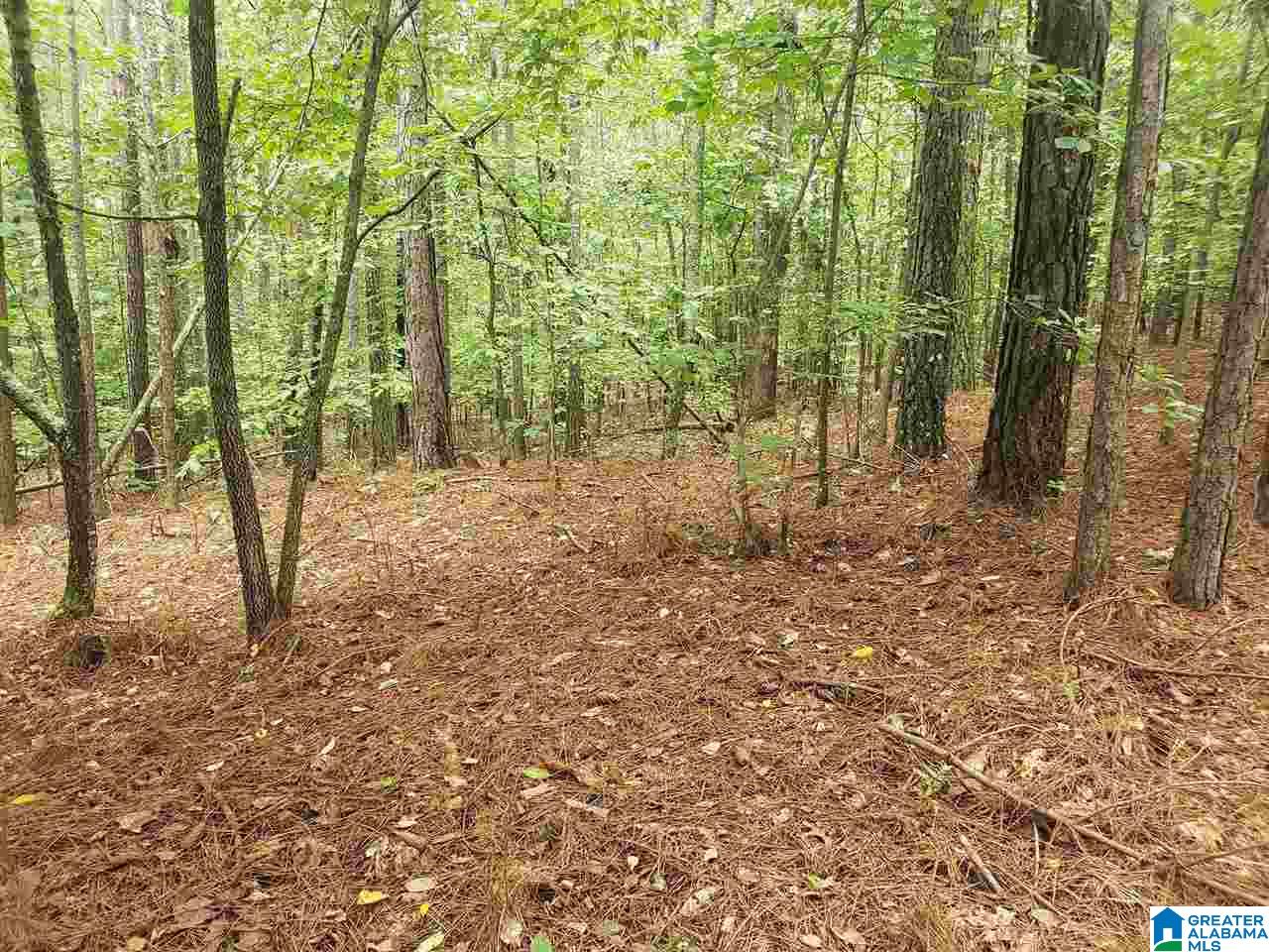 2229 County Road 82 Fruithurst, AL 36262 - Photo 6 of 12