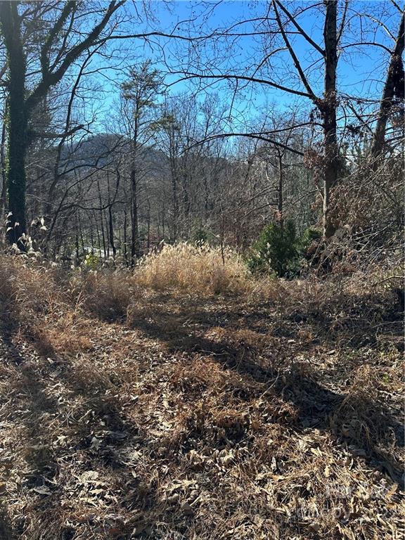 117 Baptist Church Road Old Fort, NC 28762 - Photo 3 of 3 Gallery Image 3
