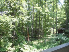 559 Escape Mountain Road Hampton, TN 37658 - Photo 19 of 20 Photo 19