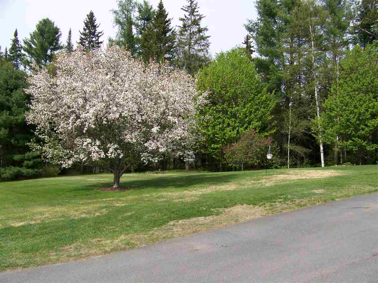 301 Duck Pond Road Waterford, VT 05819 - Photo 2 of 9
