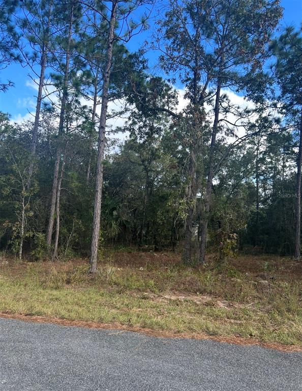 Tbd Locust Loop Place Ocala, FL 34472 - Photo 1 of 1 Gallery Image 1