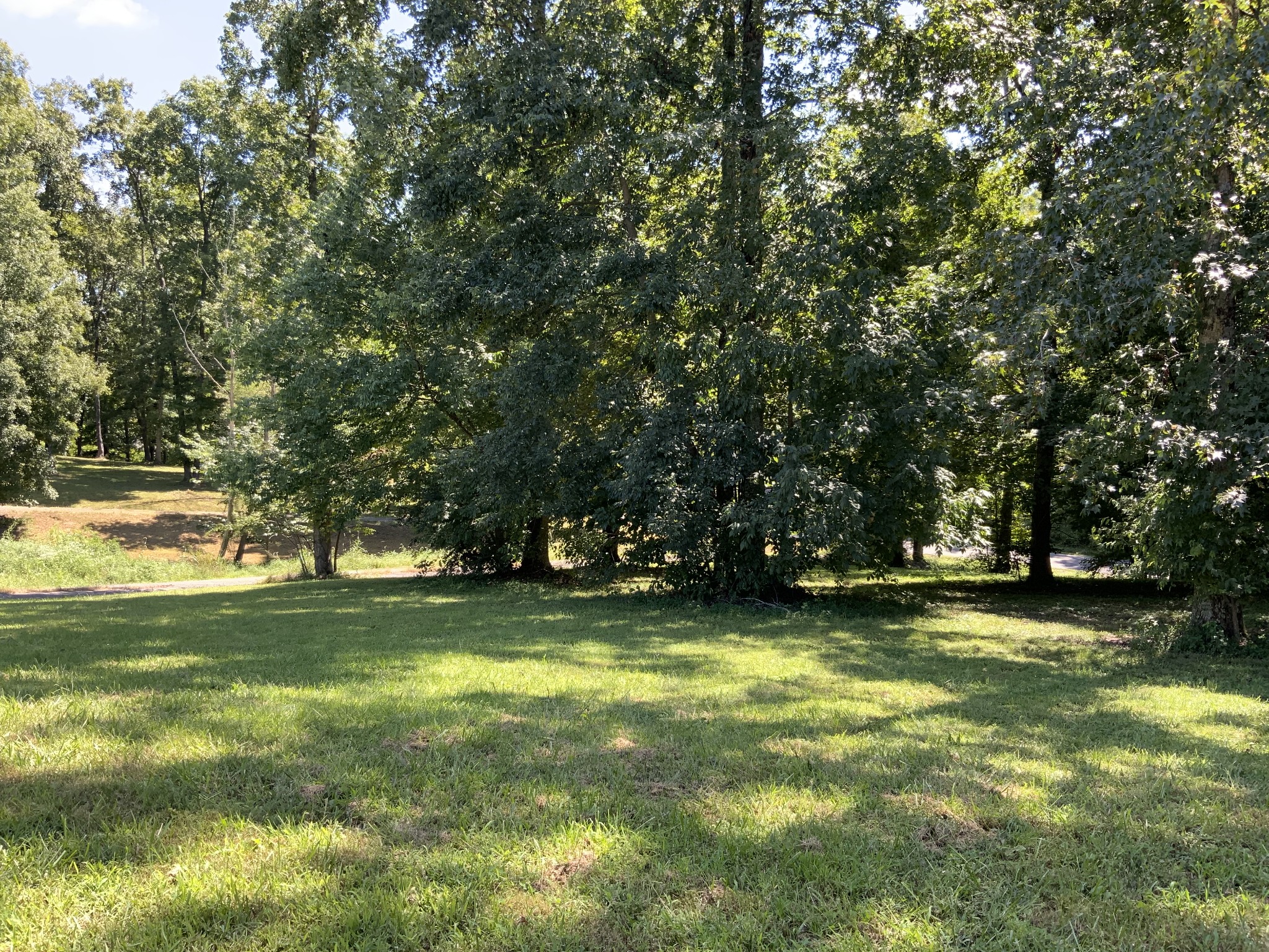 6190 Dewey Carr Road Bethpage, TN 37022 - Photo 5 of 37 a view of a trees in a yard