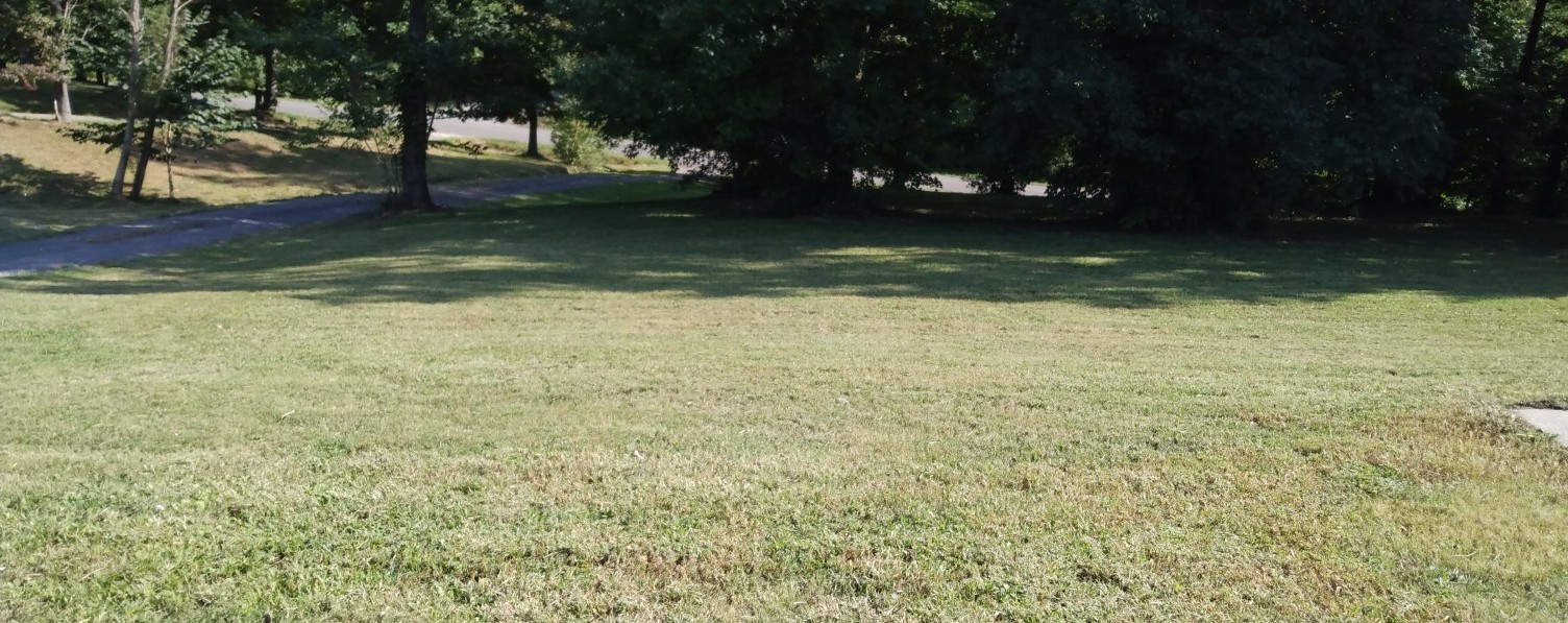 6190 Dewey Carr Road Bethpage, TN 37022 - Photo 6 of 37