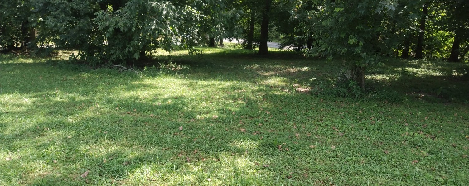 6190 Dewey Carr Road Bethpage, TN 37022 - Photo 7 of 37 a view of yard with green space