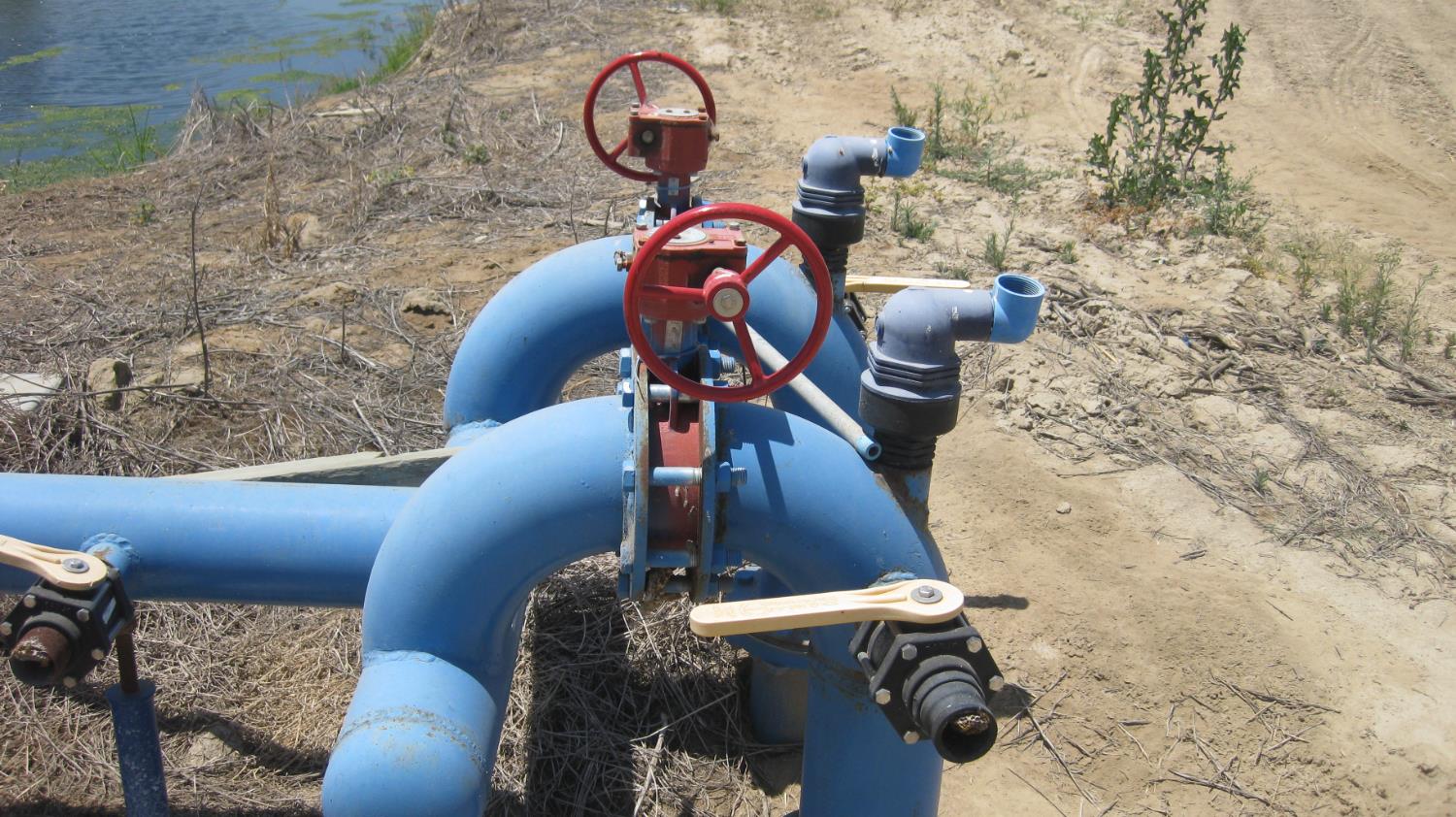 99999 Northeast Ne Corner Pixley, CA 93256 - Photo 13 of 18 a picture of a rug in a room