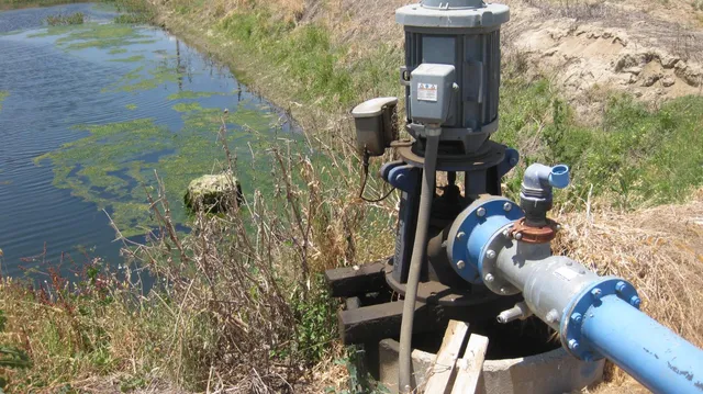 a view of a yard with trees