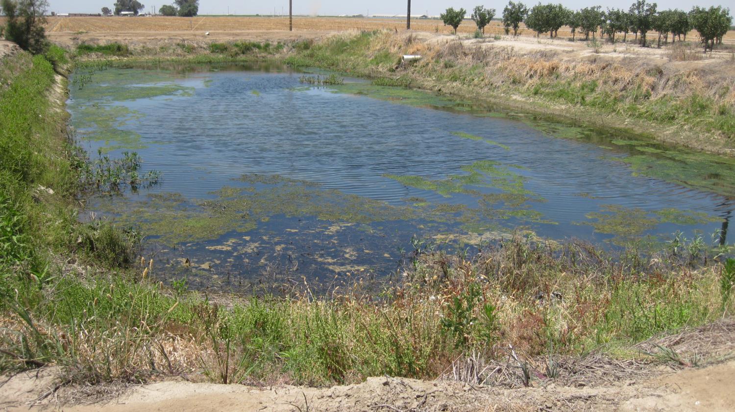 99999 Northeast Ne Corner Pixley, CA 93256 - Photo 16 of 18 a view of a lake from a yard