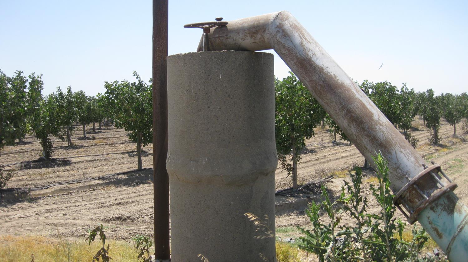 99999 Northeast Ne Corner Pixley, CA 93256 - Photo 6 of 18 a view of a yard with a tree