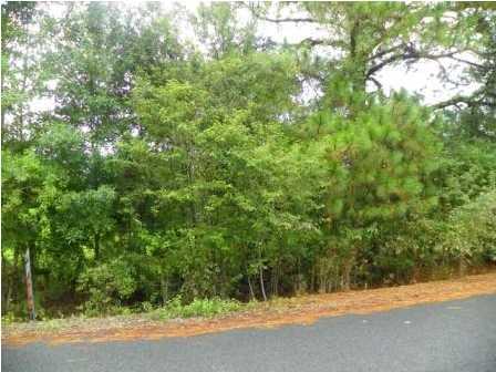 0 Boone Road Scott, LA 70583 - Photo 2 of 2 Additional Photo