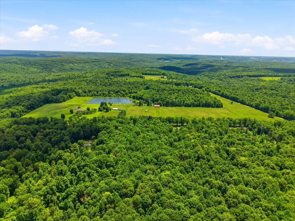 122.24-ac Sutton Road Grand Valley, PA 16420 - Photo 6 of 25