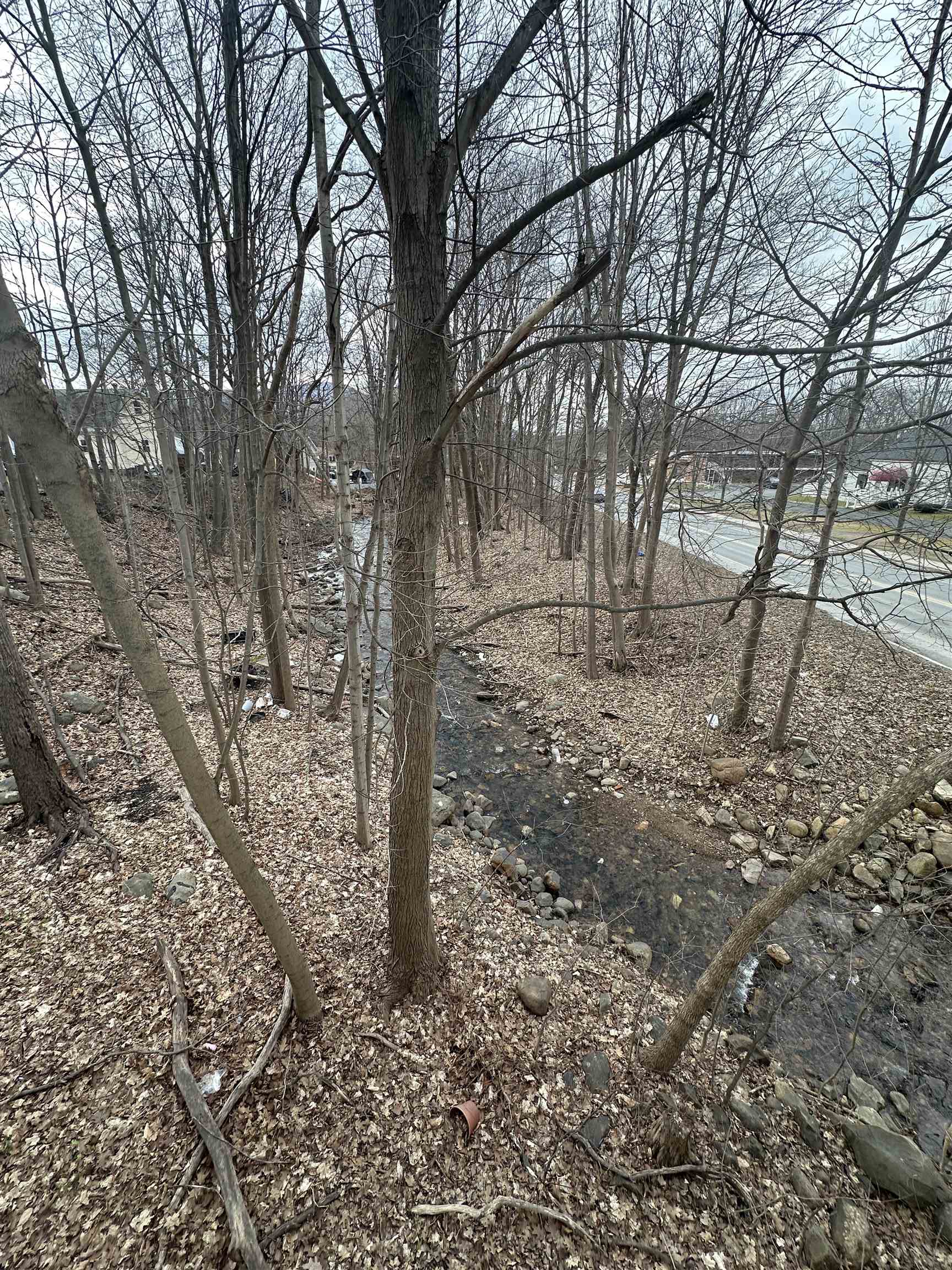 933 Main Street Bennington, VT 05201 - Photo 4 of 12