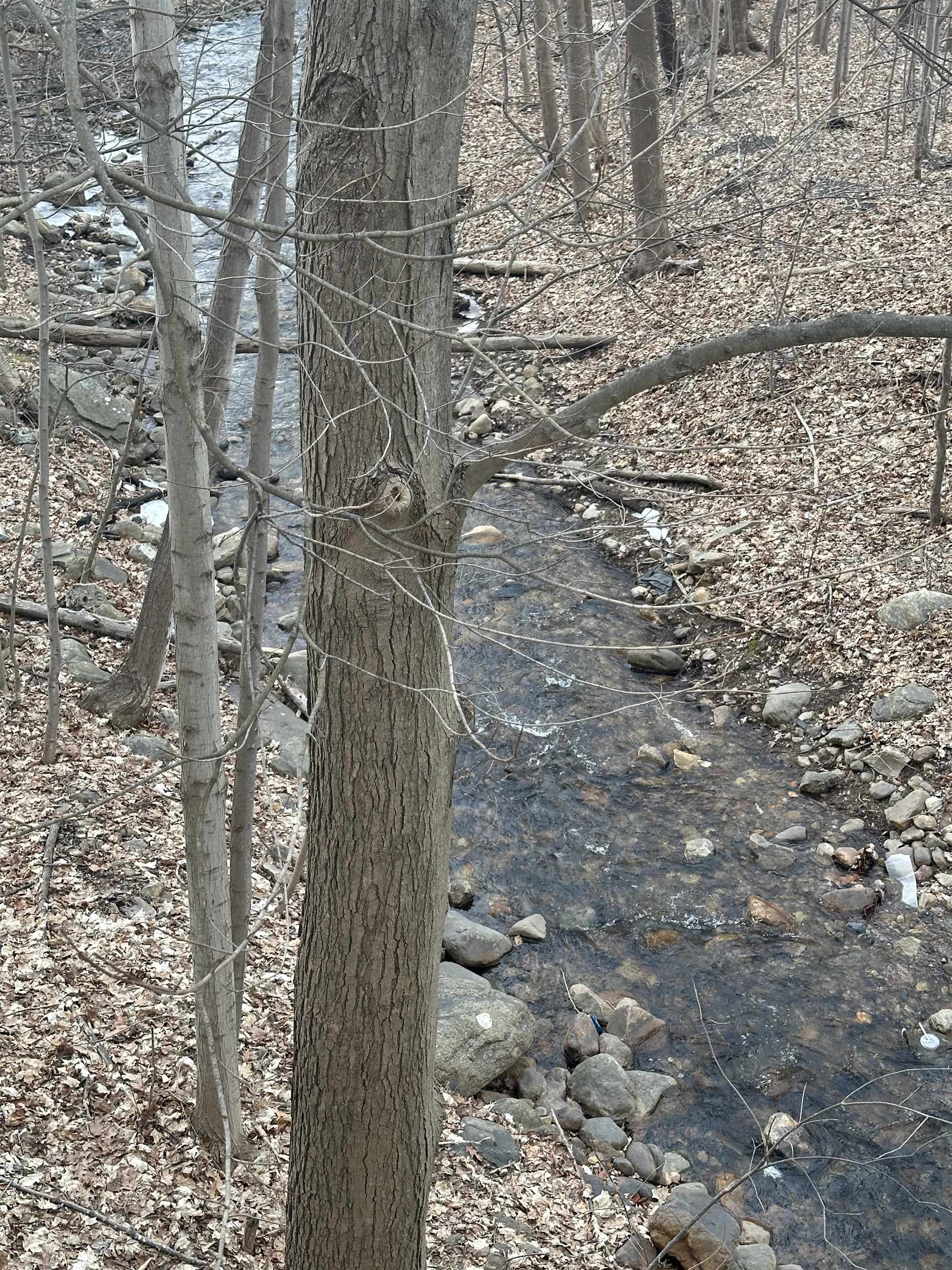 933 Main Street Bennington, VT 05201 - Photo 5 of 12