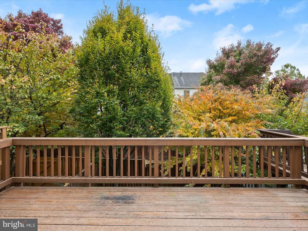 123 Rivanna Terrace Southwest Leesburg, VA 20175 - Photo 12 of 53 Mature trees add privacy and beauty