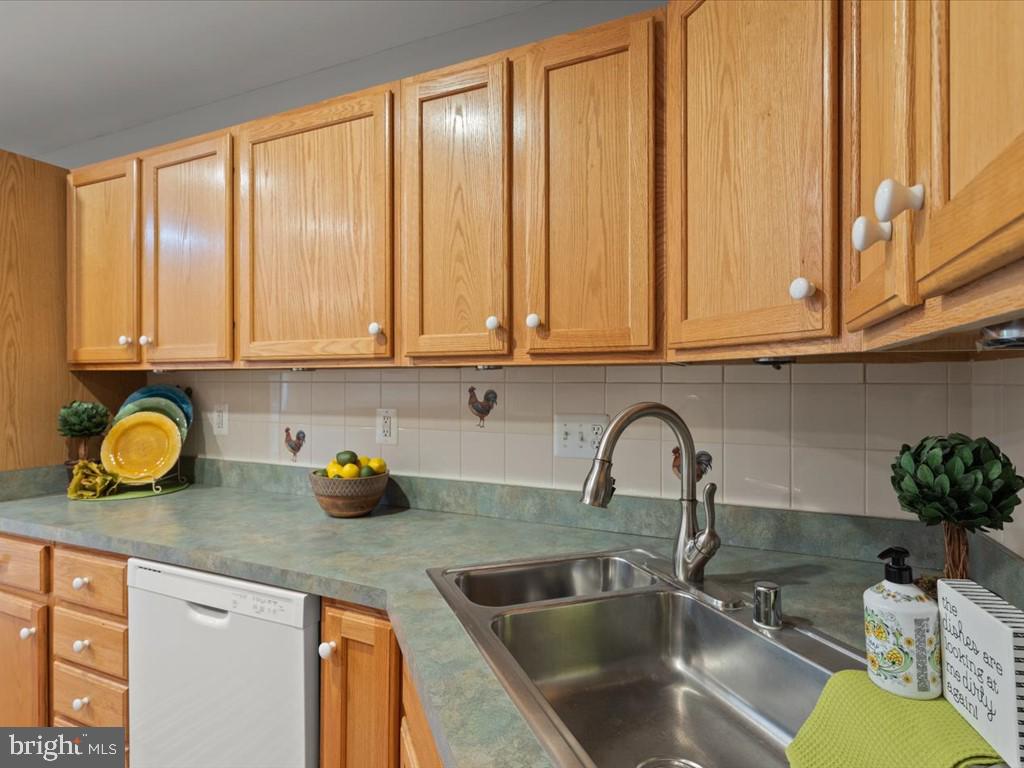 123 Rivanna Terrace Southwest Leesburg, VA 20175 - Photo 15 of 53 Plentiful cabinetry in ktichen