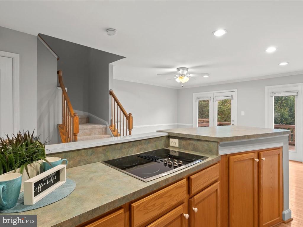 123 Rivanna Terrace Southwest Leesburg, VA 20175 - Photo 16 of 53 Kitchen opens to Family Room and Dining Room