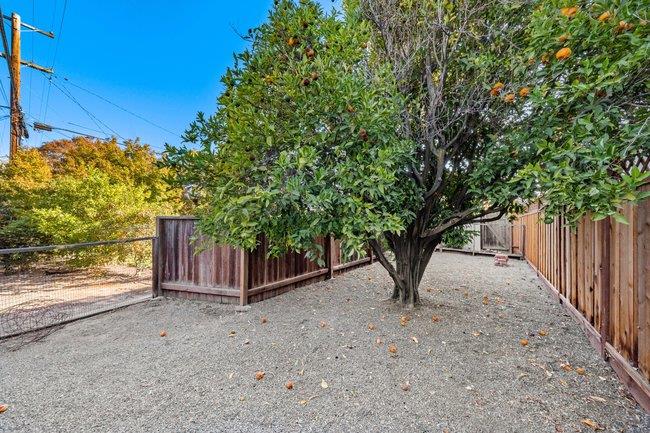1024 West Riverside Way San Jose, CA 95129 - Photo 29 of 31 a view of a backyard with large trees and wooden fence