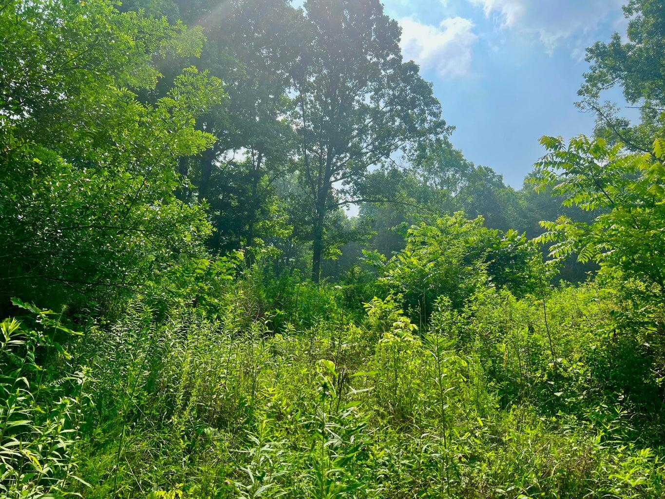 1030 Old Owenton-Georgetown Road Owenton, KY 40359 - Photo 6 of 37 20230811145701149512000000-o