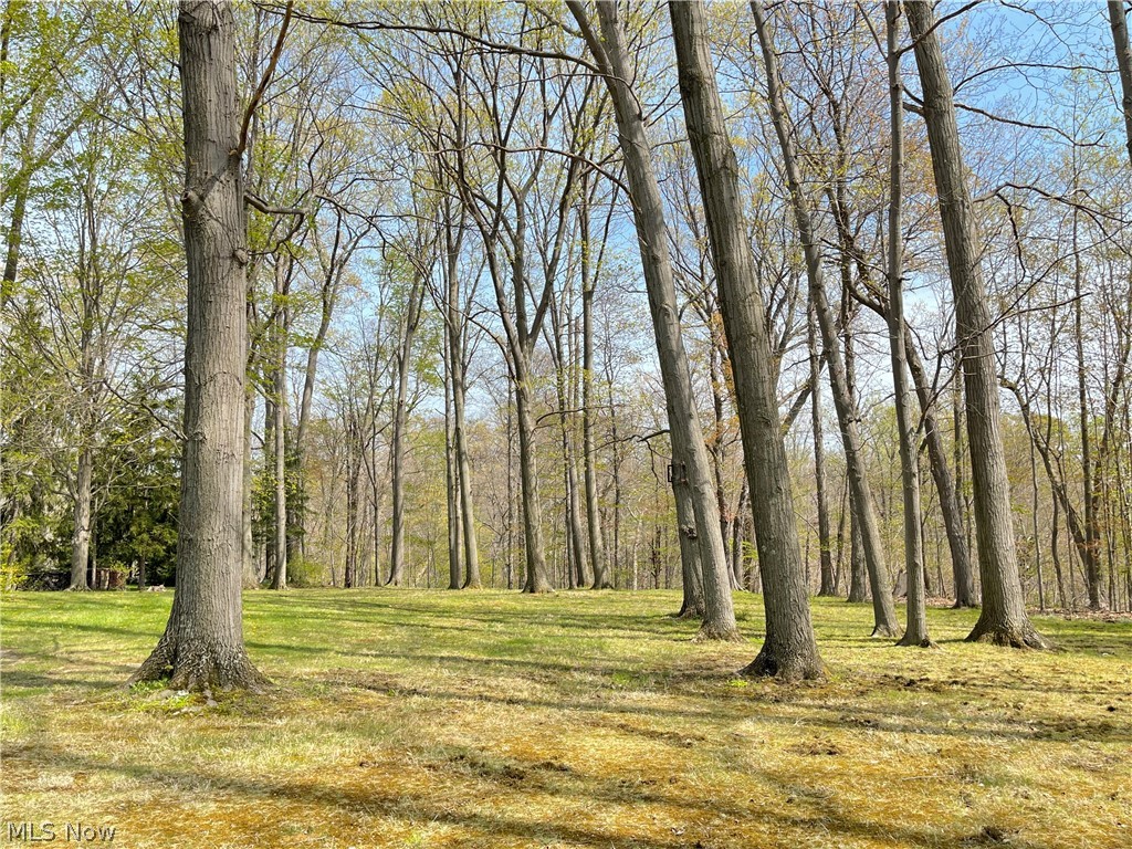 9101 Westwood Road Kirtland, OH 44094 - Photo 3 of 16
