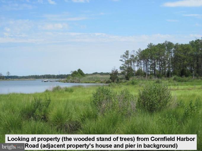 Cornfield Harbor Road Scotland, MD 20687 - Photo 8 of 11 Other #3