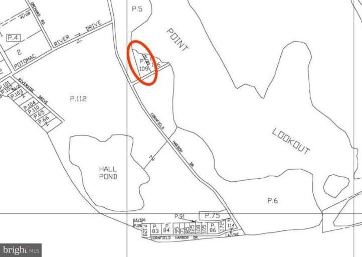 Cornfield Harbor Road Scotland, MD 20687 - Photo 10 of 11 Plat #1