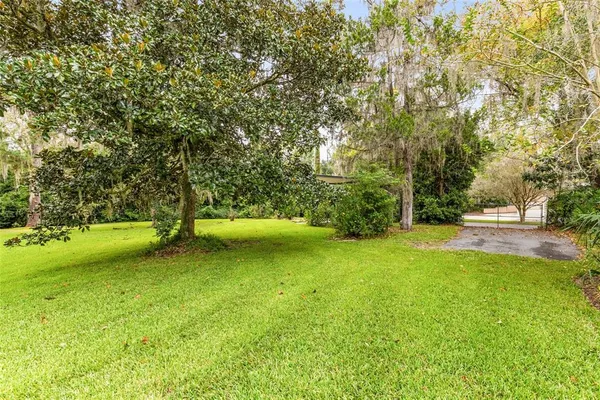 a view of a backyard with potted plants and large trees