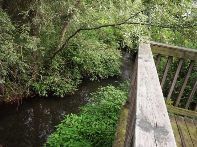 6151 Morrison Lake Road Saranac, MI 48881 - Photo 16 of 19 DSCF8779