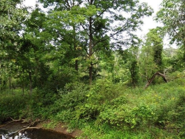 6151 Morrison Lake Road Saranac, MI 48881 - Photo 19 of 19 DSCF8782
