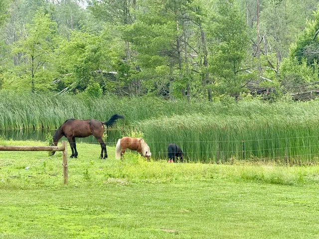 $399,000 | 33486 Driftwood Avenue, Unit C, Warrens, WI 54666