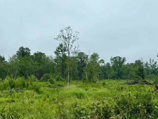 $399,000 | 33486 Driftwood Avenue, Unit C, Warrens, WI 54666