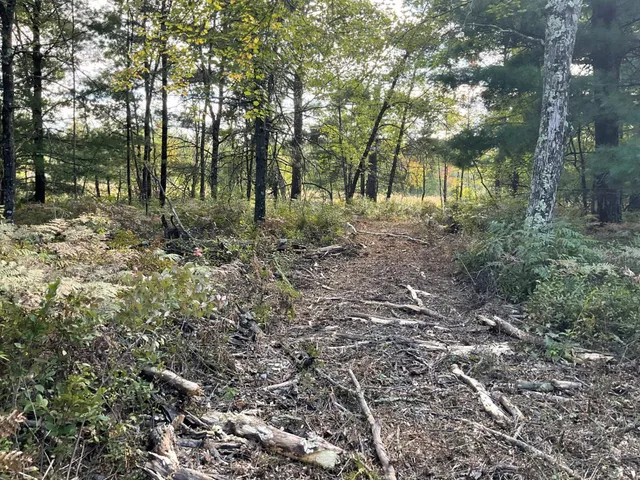 $399,000 | 33486 Driftwood Avenue, Unit C, Warrens, WI 54666