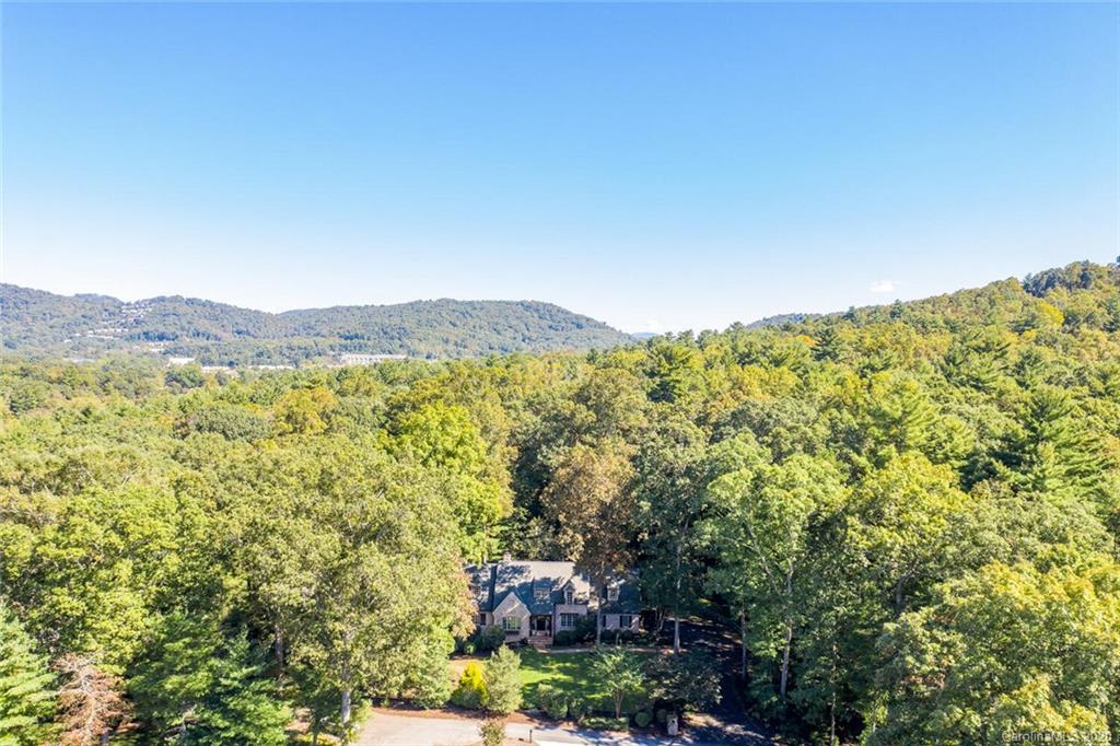 391 Racquet Club Road Asheville, NC 28803 - Photo 46 of 48 Gallery Image 46