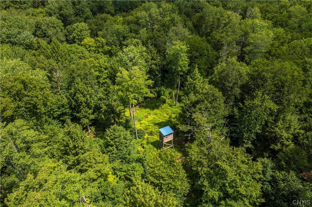 461 Billy Hamlin Road Cold Brook, NY 13324 - Photo 42 of 49 Gallery Image 42